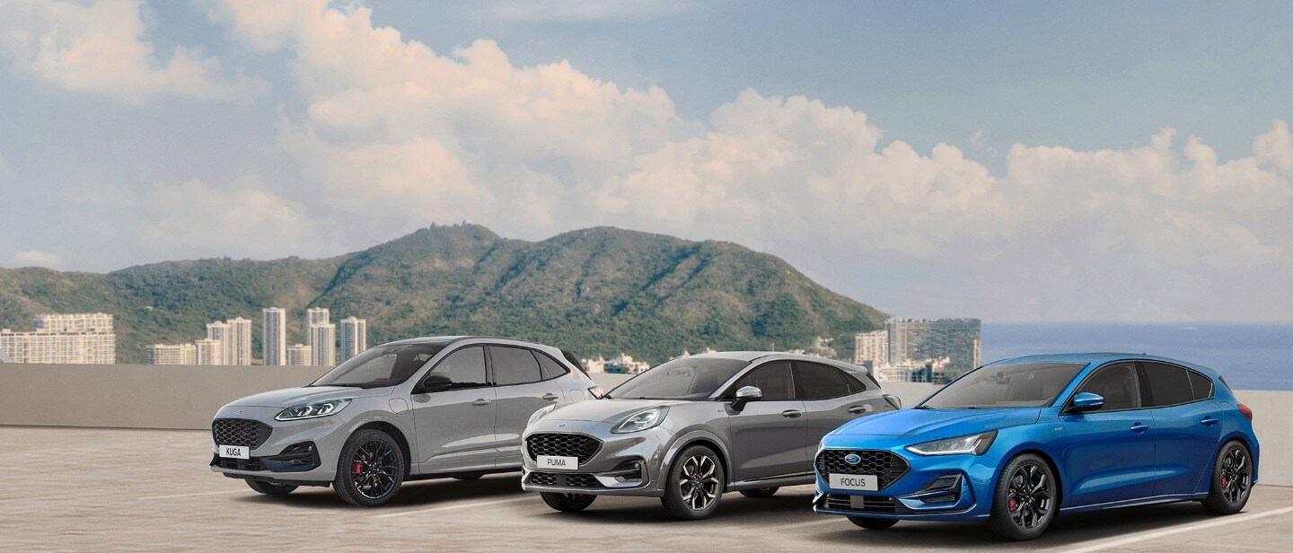 Ford Options