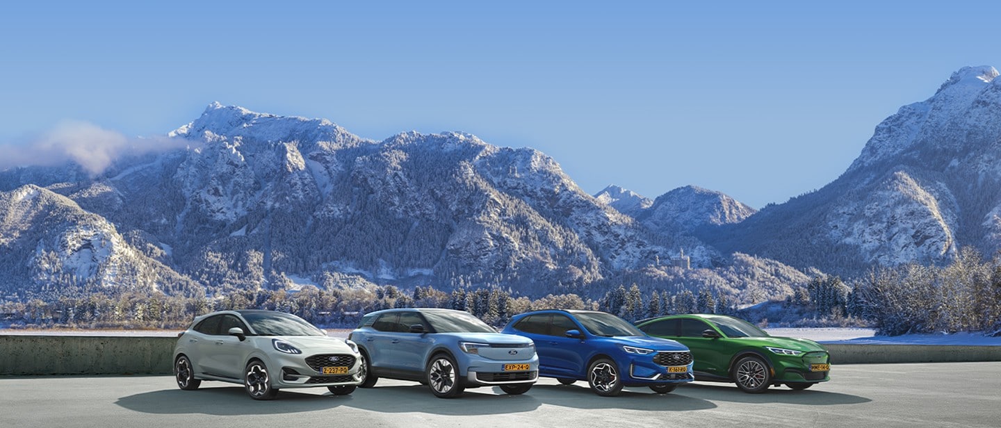 Ford PV range