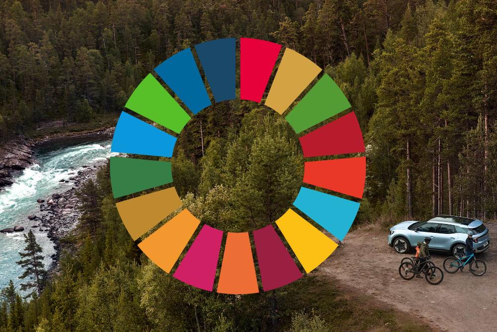 Sustainability chart graphic
