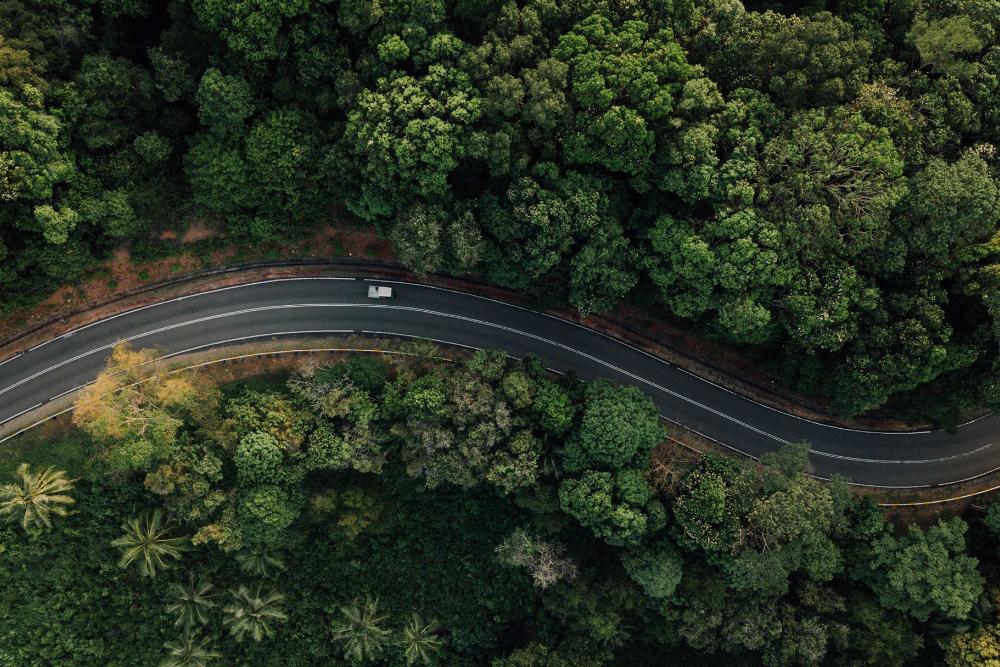 Road in a Forest view from above