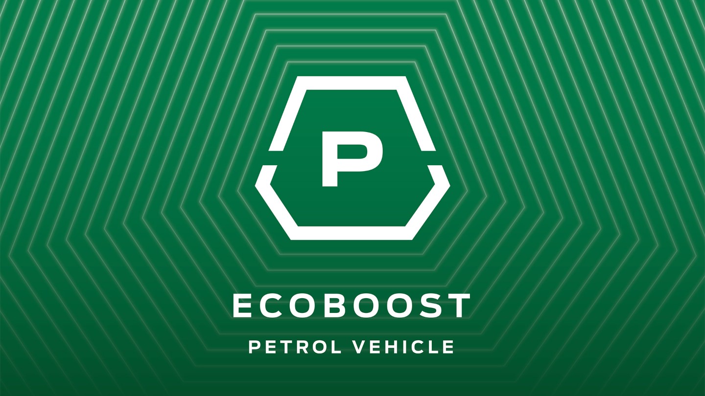 Ecoboost petrol icon